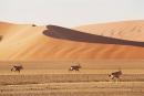 namibia12.jpg