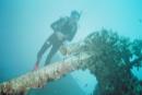 thistlegorm10.jpg