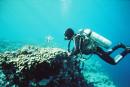 thistlegorm1.jpg