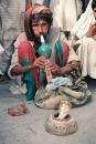 pakistan7.jpg