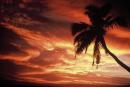 polynesien7.jpg