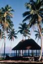 samoa8.jpg
