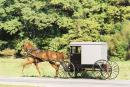 amish11.jpg