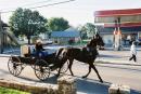 amish3.jpg