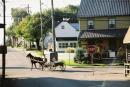 amish7.jpg