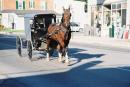 amish8.jpg