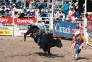 calgary11.jpg