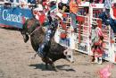 calgary8.jpg